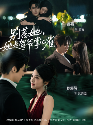 别惹她，她是贺爷掌心雀（69集）最热门短剧来了