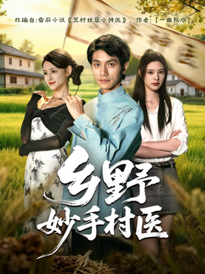 乡野妙手村医（60集）高清画质免费看