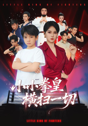 小小拳皇横扫一切（60集）热播古装短剧