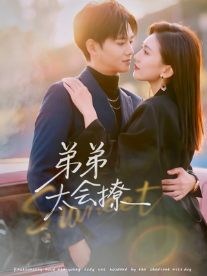 【弟弟太会撩】81集在线短剧全集畅快观
