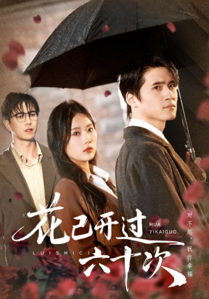 【花已开过六十次】72集短剧在线完整版观看