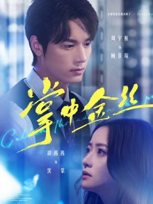 【长姐她竟是隐藏大佬】60集短剧免费在线览