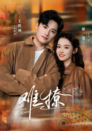 【难撩】100集短剧免费无删减在线观