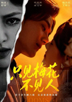 【只见梅花不见人】63集短剧全集在线速看