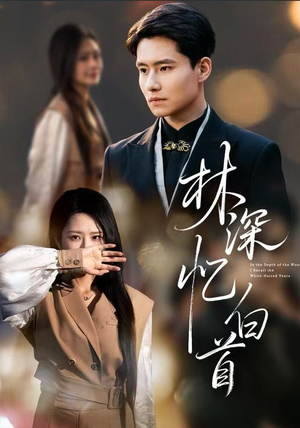 【林深忆白首】60集短剧免费完整观瞧