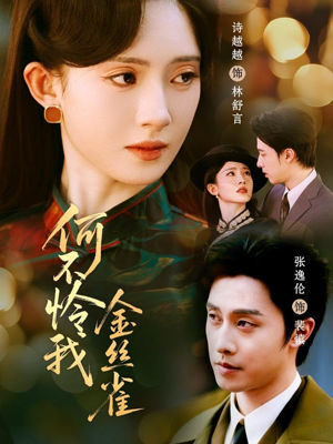 【何不怜我金丝雀】60集短剧免费在线赏映