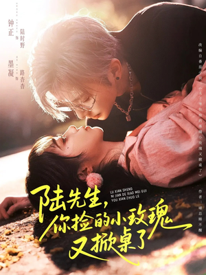 【陆先生，你捡的小玫瑰又掀桌了】74集免费短剧在线览观