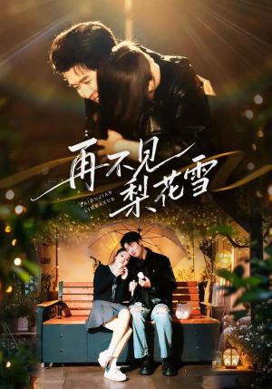 【再不见梨花雪】70集在线短剧免费畅看
