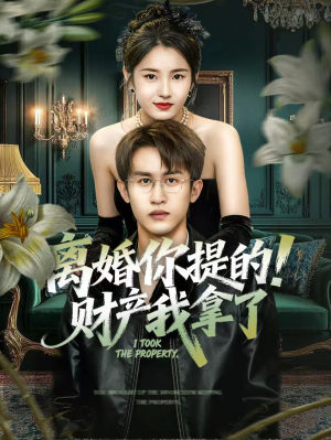 离婚你提的！财产我拿了（63集）爆款热门短剧