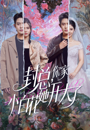 封总，你家小白花她开大了（60集）最新上映的短剧