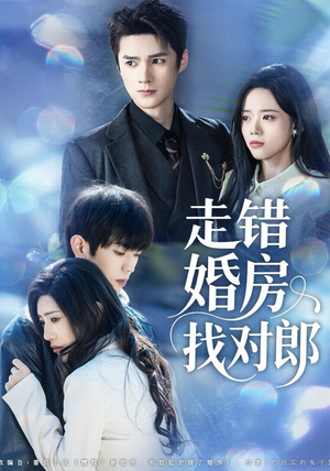 【走错婚房找对郎】50集在线短剧全集免费观