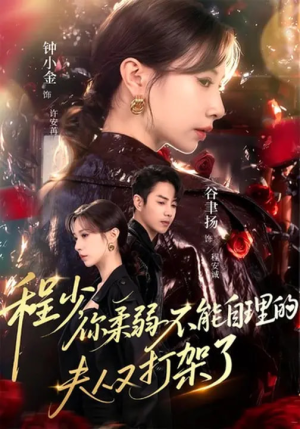 【程少你柔弱不能自理的夫人又打架了】60集夸克网盘短剧在线看