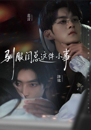 【驯服闫总这件小事】58集免费在线看短剧全集