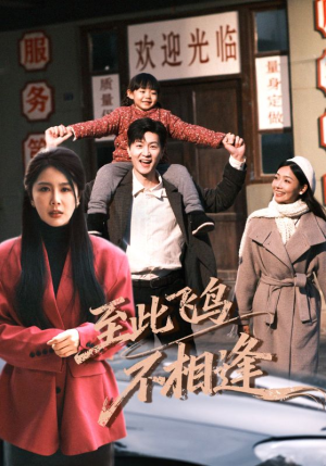 【至此飞鸟不相逢】70集短剧全集免费直看