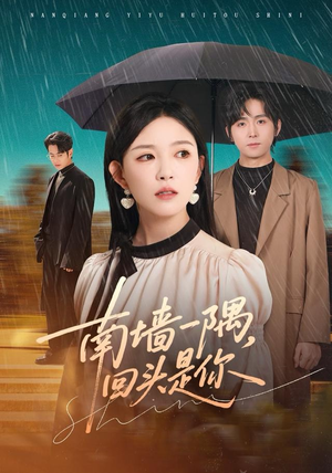 【南墙一隅，回头是你】61集短剧免费在线全集看