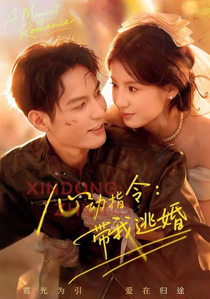 【心动指令：带我逃婚】61集短剧全集免费在线赏