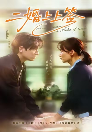 【二婚上上签】71集免费短剧全集畅看