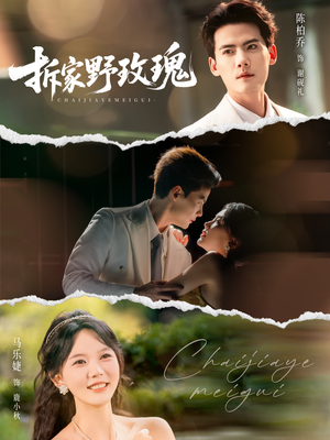 【拆家野玫瑰】80集短剧免费全集观映