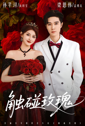 【触碰玫瑰】80集免费短剧全集赏观