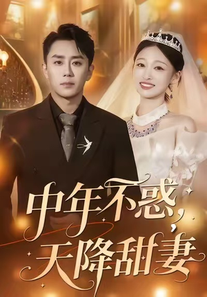 【中年不惑，天降甜妻】60集短剧在线高清观看
