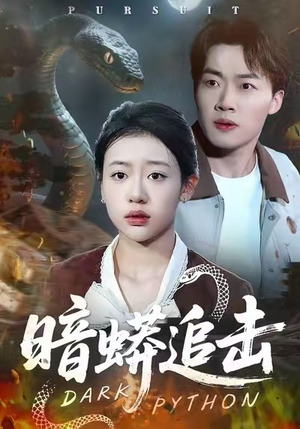 【暗蟒追击】35集短剧免费全集在线览