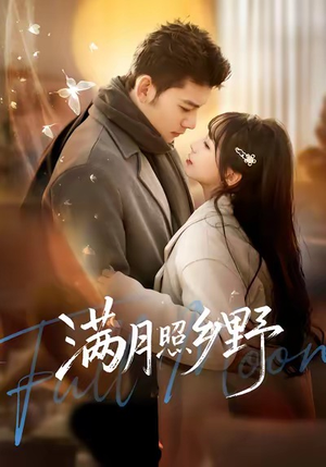 【满月照乡野】70集免费短剧全集赏观