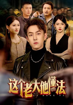 【这个老大他懂法】100集在线免费短剧随心看