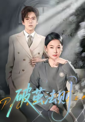 【破茧法则】66集在线短剧免费全集观看