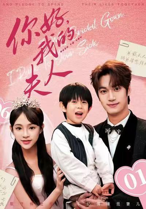 【顾总，我才是你的夫人】65集短剧在线免费追看