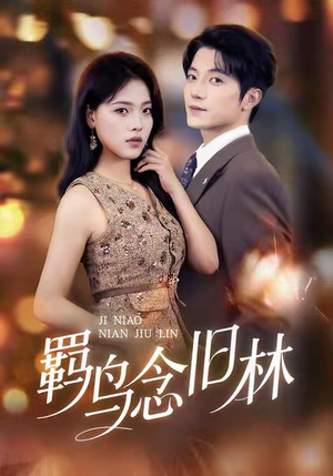 【羁鸟念旧林】60集免费短剧在线完整览