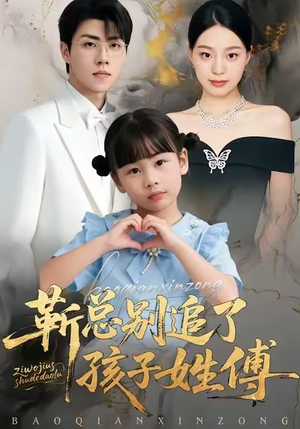 靳总别追了，孩子姓傅（51集）免费观看完整版