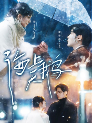 【海上天鹅】70集在线短剧免费全集观