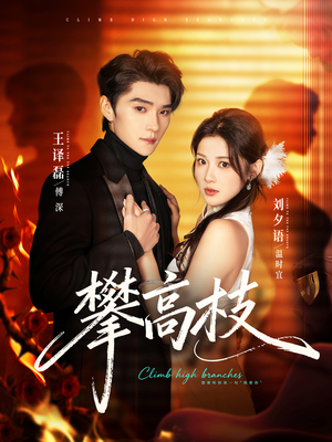 【攀高枝】70集免费短剧完整版在线看