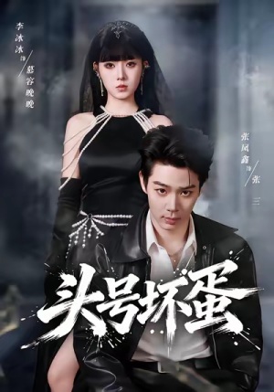 【头号坏蛋】58集短剧在线免费观览