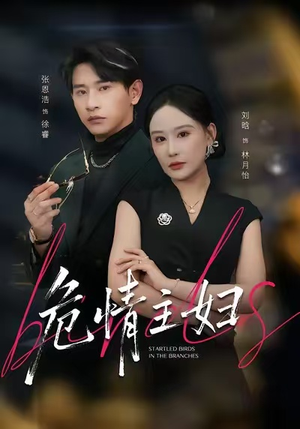 【危情主妇】60集免费短剧在线完整看