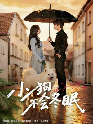 【小狗不会冬眠】70集在线短剧免费流畅观看
