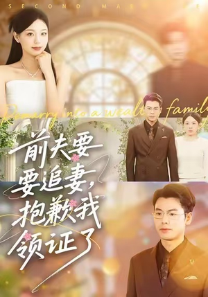 【前夫要追妻，抱歉我领证了】81集短剧免费完整版在线观瞧