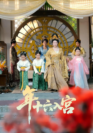 【年十六入宫】34集短剧免费在线高清赏