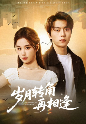 【岁月转角再相逢】80集短剧在线高清免费看