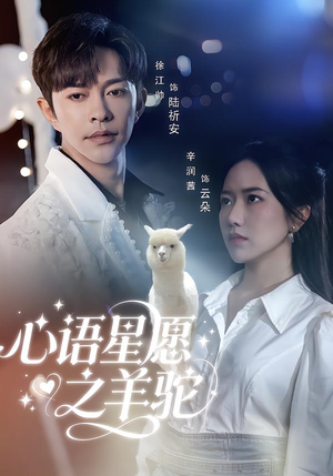【心语星愿之羊驼】60集短剧免费全集在线览