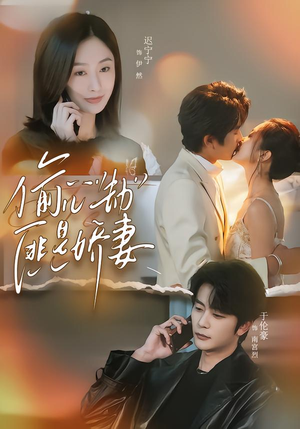 【偷心劫匪是娇妻】61集短剧高清全集免费观看