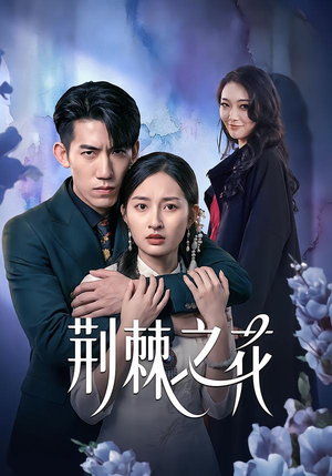 【荆棘之花】100集短剧在线免费速看