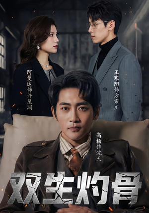 【双生灼骨】60集超燃短剧免费在线赏