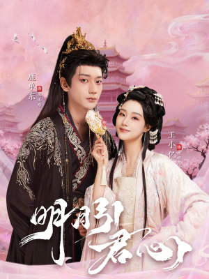 【明月引君心】74集精彩短剧免费在线观看