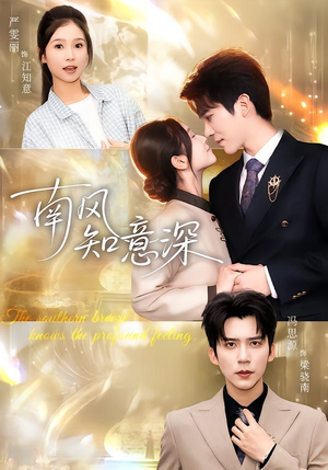 【南风知意深】40集短剧免费全集随心看