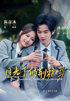 【月光下的荆棘鸟】80集短剧免费高清观看