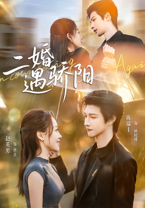 二婚遇骄阳（65集）免费短剧完整版