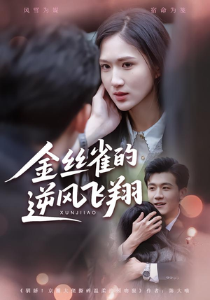 【金丝雀的逆风飞翔】80集短剧免费全集在线赏看