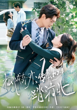 【枫城奇才：传承加身踏清北】80集短剧免费在线完整观看