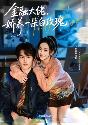 【金融大佬，娇养一朵白玫瑰】70集短剧全集免费在线赏